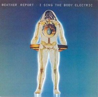 The Body Electric by David Mack